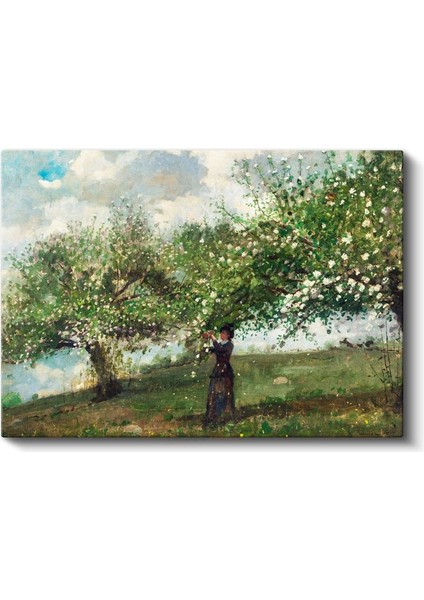 Winslow Homer - Çiçek Açmış Ağaçlar Kanvas Tablo fiyatları