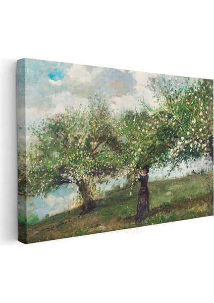Winslow Homer - Çiçek Açmış Ağaçlar Kanvas Tablo modelleri