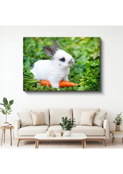 Minik Tavşan - Havuçlu Yemek Vakti Kanvas Tablo