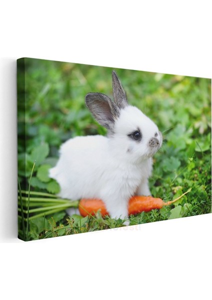 Minik Tavşan - Havuçlu Yemek Vakti Kanvas Tablo modelleri