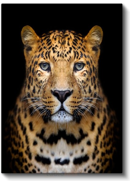 Leopar Portresi - Derin Bakışlı Yırtıcı Kanvas Tablo fiyatları