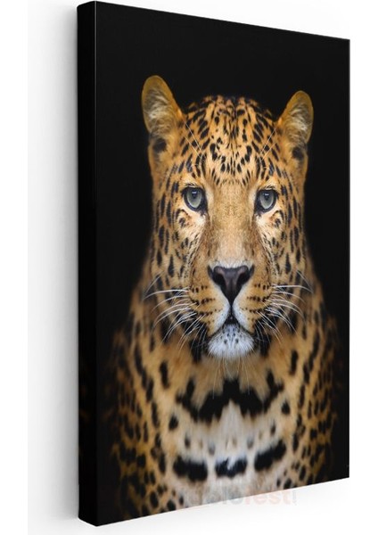 Leopar Portresi - Derin Bakışlı Yırtıcı Kanvas Tablo modelleri