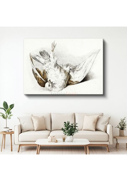 Kanatları Açık Kuş - Klasik Çizim Tekniği Kanvas Tablo
