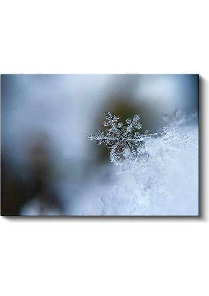 Kar Tanesi - Kristal Zarafet Kanvas Tablo fiyatları