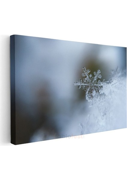 Kar Tanesi - Kristal Zarafet Kanvas Tablo modelleri
