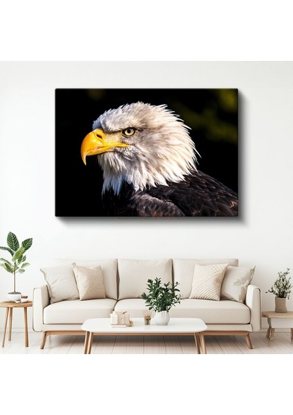 Kartal Profili - Sarı Gagalı Yırtıcı Kuş Yakın Çekim Kanvas Tablo