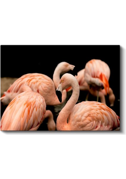 Pembe Flamingolar - Zarif Duruş Kanvas Tablo fiyatları