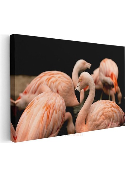 Pembe Flamingolar - Zarif Duruş Kanvas Tablo modelleri