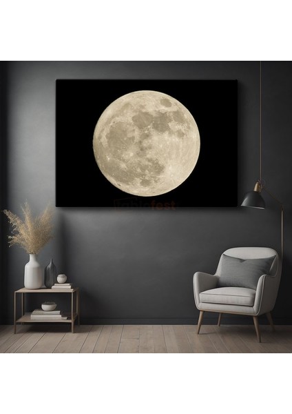 Dolunay - Parlayan Gece Işığı Kanvas Tablo