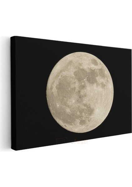 Dolunay - Parlayan Gece Işığı Kanvas Tablo modelleri