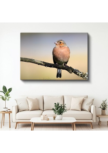 Pembe Ispinoz - Dal Üzerinde Huzurlu Bekleyiş Kanvas Tablo