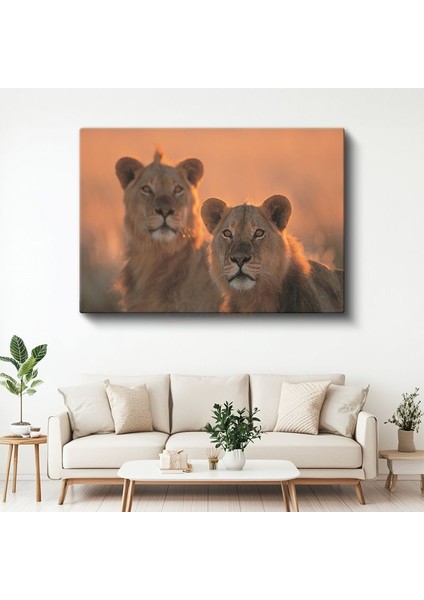 Aslan Çifti - Gün Batımında Iki Kral Kanvas Tablo