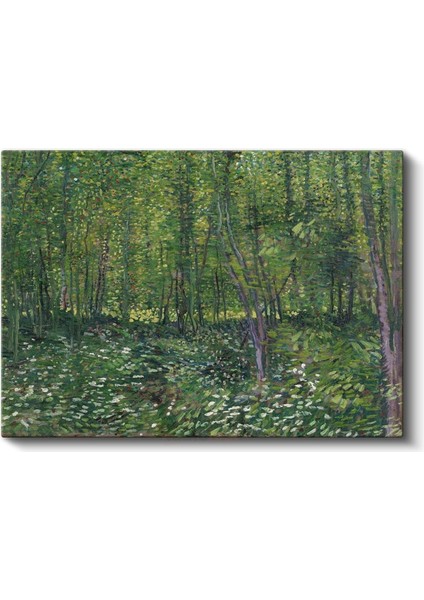 Vincent Van Gogh - Ağaçlar ve Çalılık Kanvas Tablo fiyatları