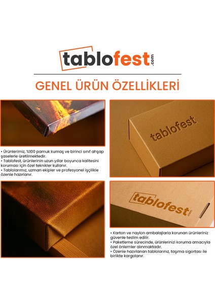 Renk Patlaması - Ekspresyonist Soyut Kompozisyon Kanvas Tablo indirimleri