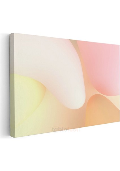 Pastel Soyutlama - Yumuşak Geçişli Geometrik Formlar Kanvas Tablo modelleri