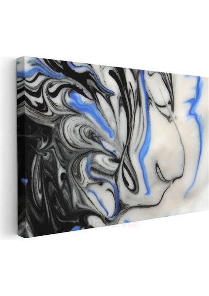 Akışkan Simetri - Siyah Beyaz Mavi Mermerleme Kanvas Tablo modelleri