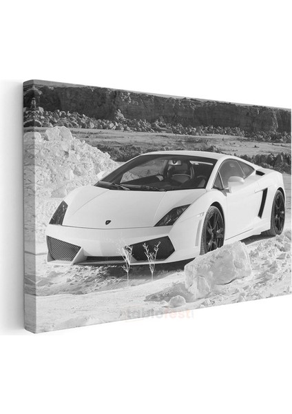 Lamborghini Gallardo - Beyaz Süper Otomobil Kanvas Tablo modelleri