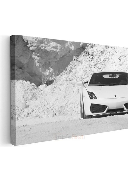 Lamborghini Gallardo - Beyaz Spor Otomobil Profil Kanvas Tablo modelleri