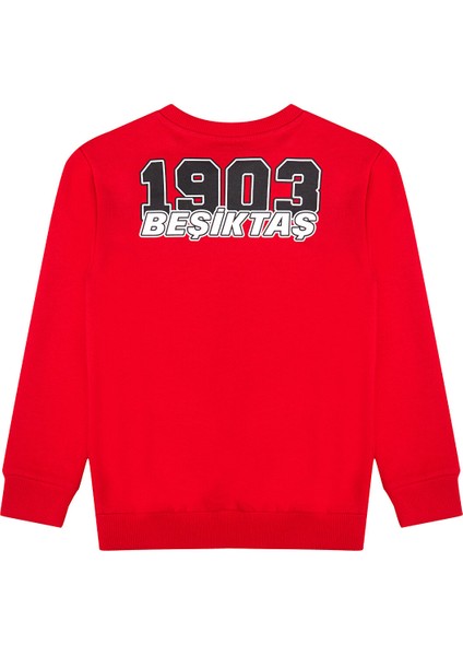 Beşiktaş Jr Sweatshırt 6526261T3 fiyatları