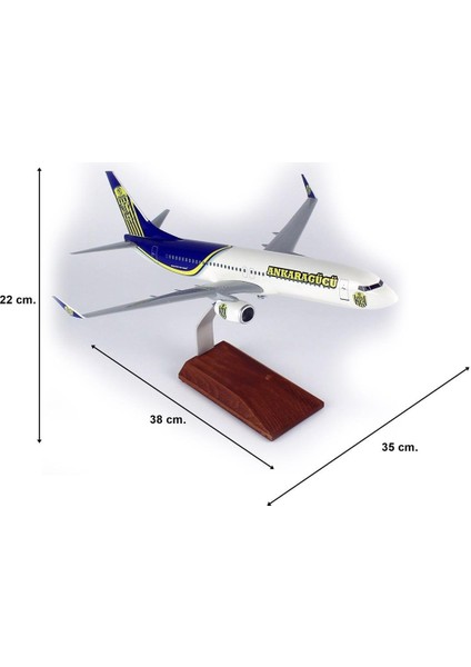 Thy Ankara Gücü Logolu B737-800 Yolcu Uçağı, 1/100 Ölçek, Sergilemeye Hazır Ahşap Standlı Model