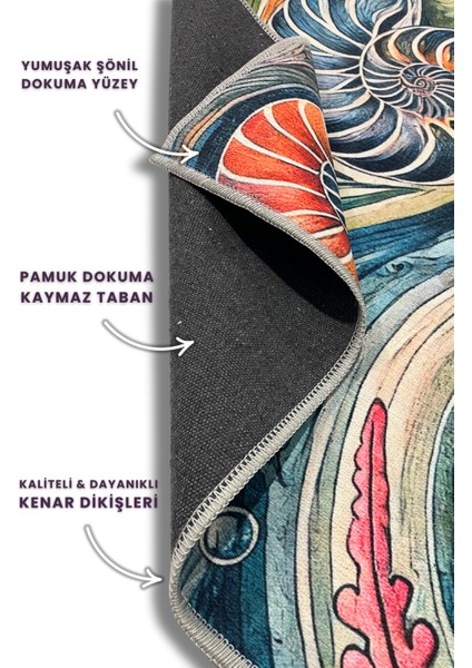 Renkli Deniz Kabuğu Desenli Halı Deniz Temalı Dijital Baskılı Yıkanabilir Kaymaz Tabanlı Oturma Odası Halısı indirimleri