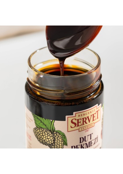Servet Doğal Dut Pekmezi 400 gr fiyatları