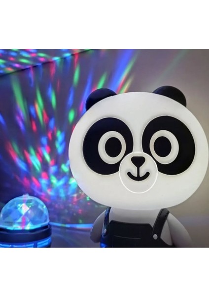 Panda ve Disko Topu
