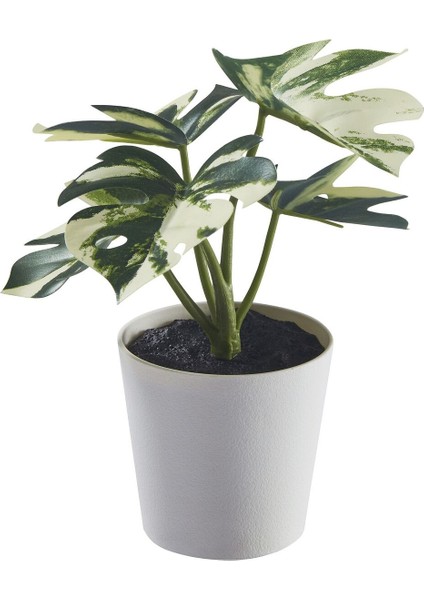 Saksılı Yapay Bitki, Yeşil, 6 Cm, Monstera