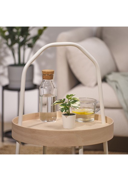 Saksılı Yapay Bitki, Yeşil, 6 Cm, Monstera fırsatları