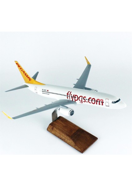 Pegasus 737-800 Yolcu Uçağı, 1/100 Ölçek Sergilemeye Hazır Plastik Standlı Model indirimleri