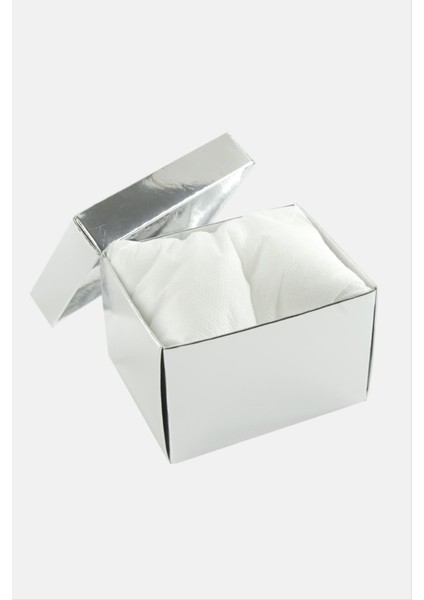 Gümüş Renkli Kapaklı Saat Kutusu