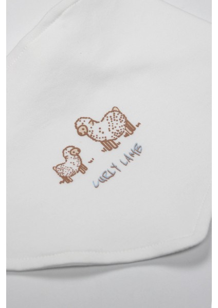 Bistyle Curly Lamb 10'lu Hastane Çıkışı 11106 Bej Mavi Ekru fırsatları