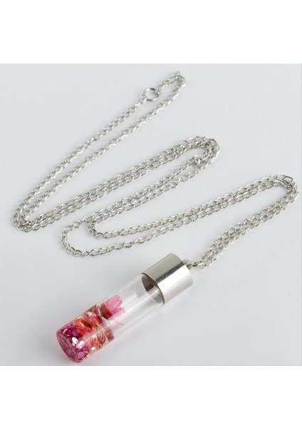 Fanus Canlı Kolye fiyatları