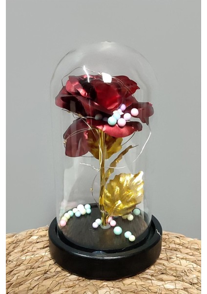 Çiçek Işıklı LED Fanus fiyatları