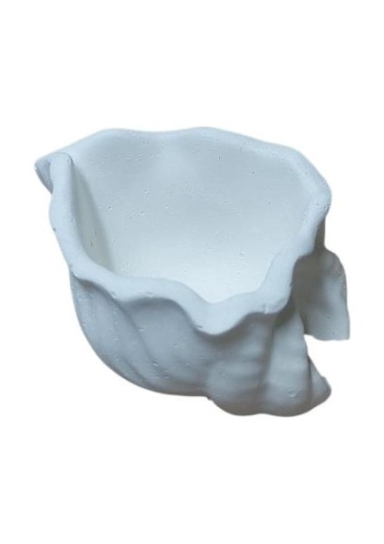 Küçük Salyangoz Kase 8X6CM