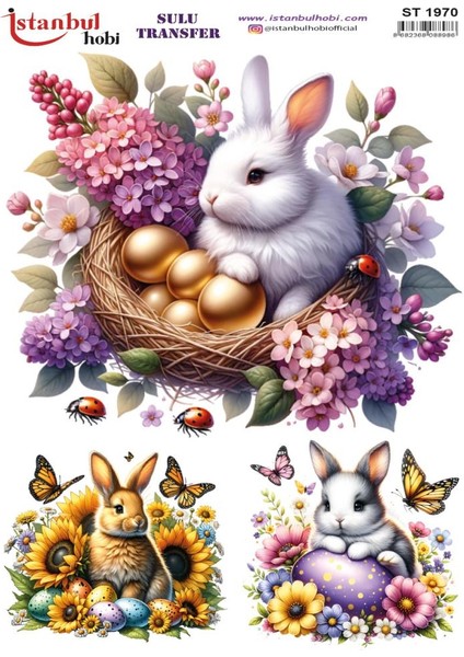 Sulu Transfer Kağıdı 25X35CM ST-1970