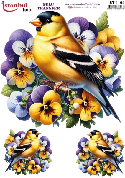 Sulu Transfer Kağıdı 25X35CM ST-1164