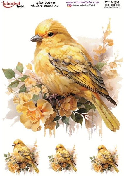 Pirinç Dekopaj Kağıdı 30X42CM PT-1834