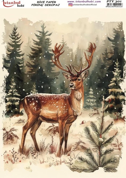 Pirinç Dekopaj Kağıdı 30X42CM PTY-301