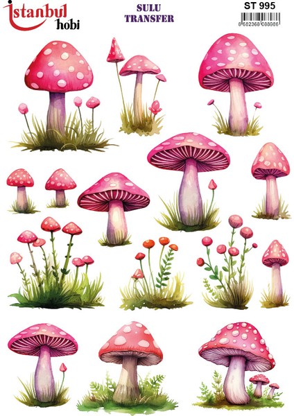 Sulu Transfer Kağıdı 25X35CM ST-995