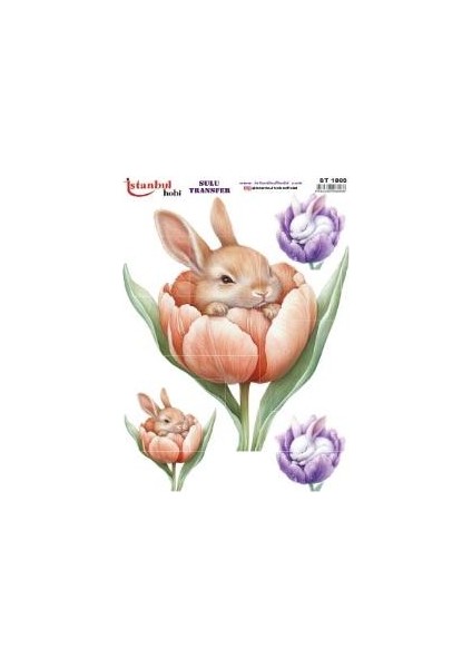 Sulu Transfer Kağıdı 25X35CM ST-1863