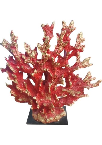 Kaideli Mercan 25X21CM