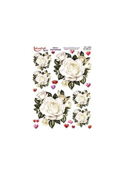 Sulu Transfer Kağıdı 25X35CM ST-1434