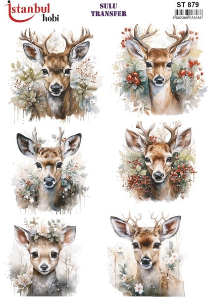 Sulu Transfer Kağıdı 25X35CM ST-879