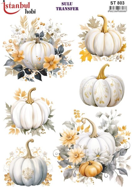 Sulu Transfer Kağıdı 25X35CM ST-803