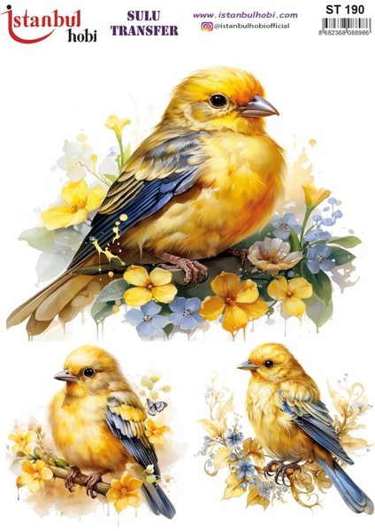 Sulu Transfer Kağıdı 25X35CM ST-190