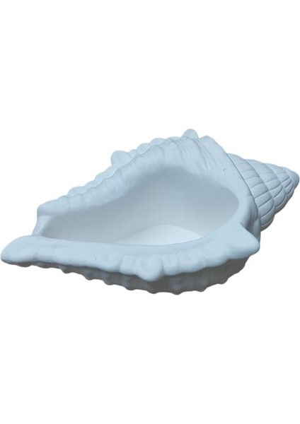 Büyük Istiridye Deniz Kabuğu Kase 17X11CM