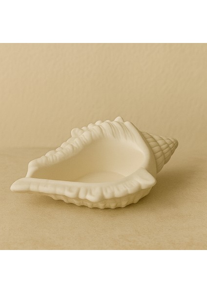 Büyük Istiridye Deniz Kabuğu Kase 17X11CM fiyatları