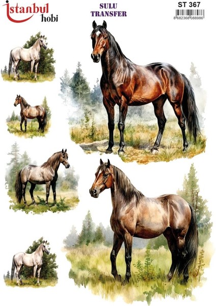 Sulu Transfer Kağıdı 25X35CM ST-367