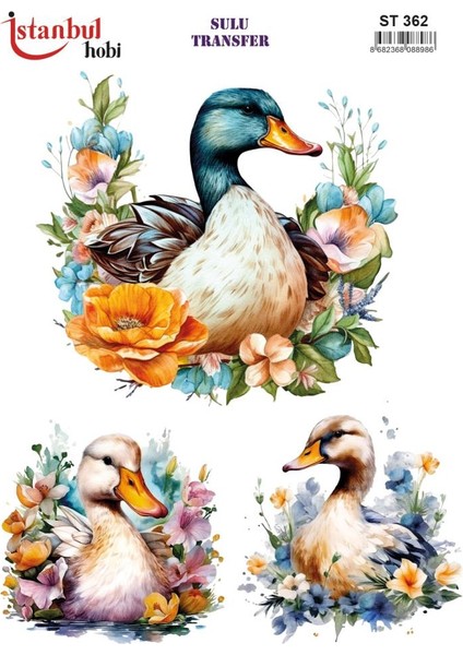 Sulu Transfer Kağıdı 25X35CM ST-362